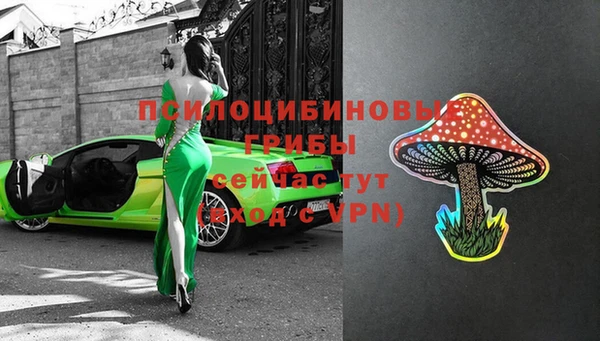 амф Богородицк