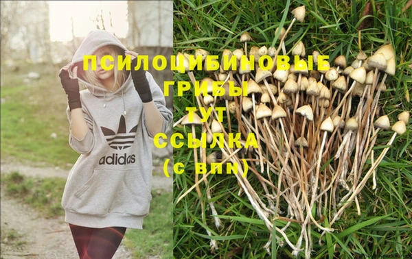 амф Богородицк
