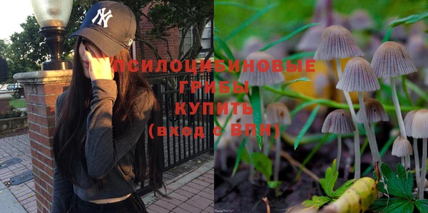 амф Богородицк