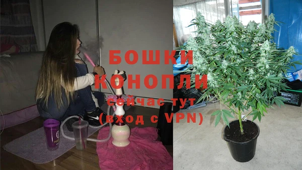 таблы Богданович